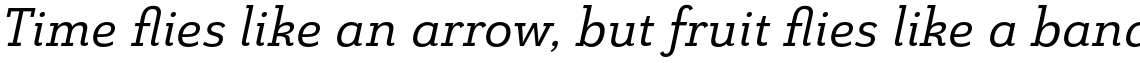 Grenale Slab Extended Medium Italic