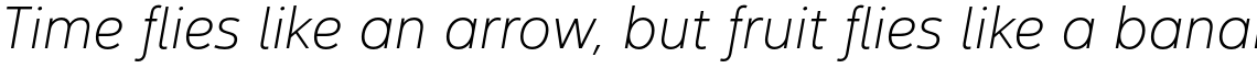 Yorkton Normal Thin Italic