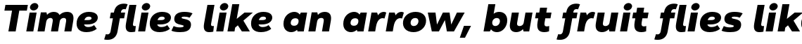 Yorkton Extended Black Italic