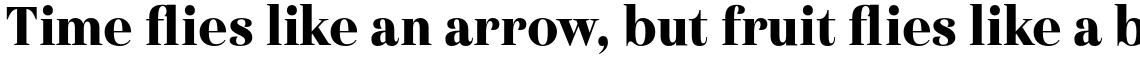 Haboro Condensed Black