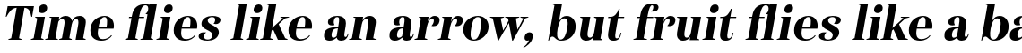 Haboro Condensed Black Italic