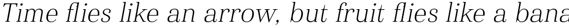 Haboro Normal Thin Italic
