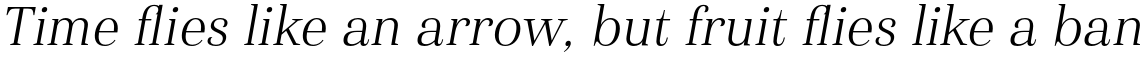 Haboro Normal Light Italic