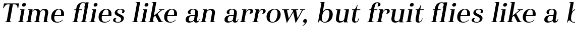 Haboro Normal Medium Italic