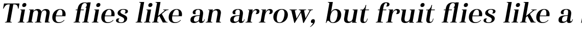 Haboro Normal Demi Italic