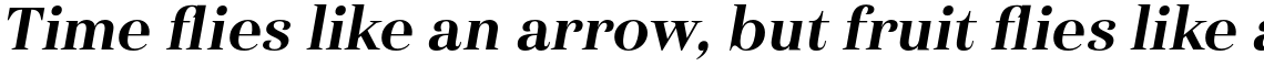 Haboro Normal Extra Bold Italic