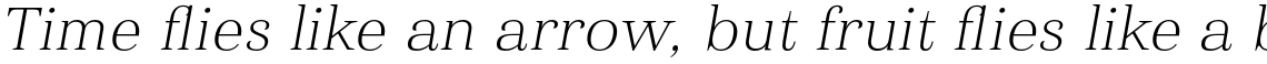 Haboro Extended Thin Italic