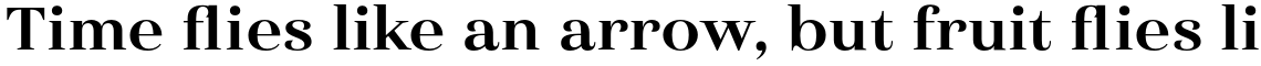 Haboro Extended Bold