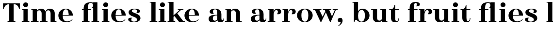 Haboro Extended Extra Bold
