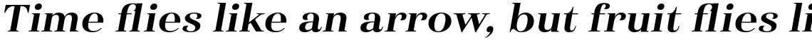 Haboro Extended Extra Bold Italic