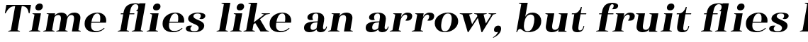 Haboro Extended Black Italic