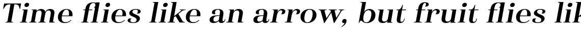 Haboro Extended Bold Italic