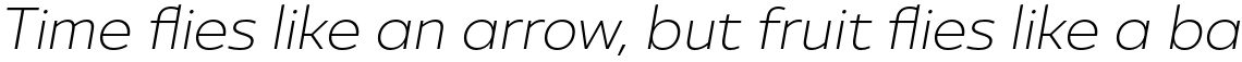 Ultine Extended Light Italic