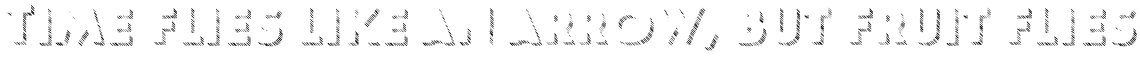 Le Havre Hand Shadow Crosshatch