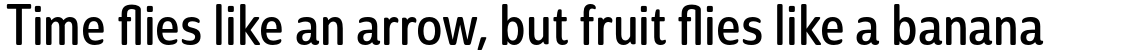 Solitas Condensed Regular