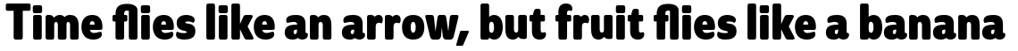 Solitas Condensed Bold