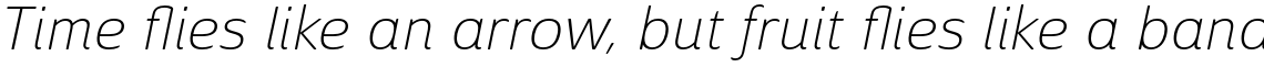 Solitas Extended Thin Italic