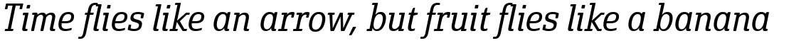Solitas Slab Condensed Book Italic