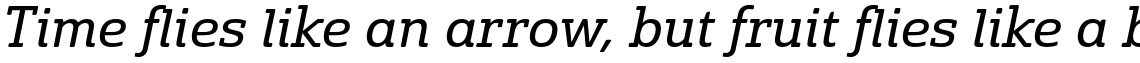 Solitas Slab Extended Regular Italic