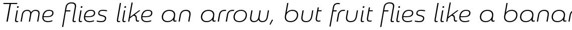 Sangli Extended Light Italic
