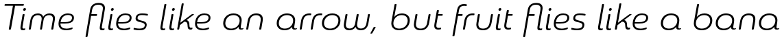 Sangli Extended Book Italic