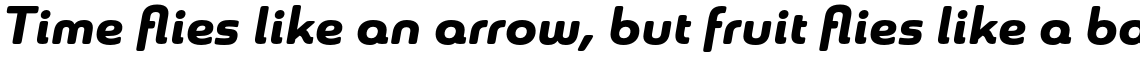 Sangli Extended Black Italic
