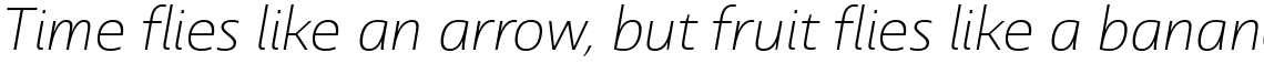 Dulcian Extended Light Italic