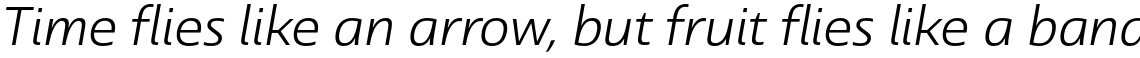 Dulcian Extended Book Italic