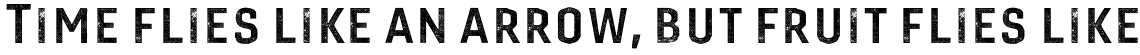Gineso Titling Haftone Bold