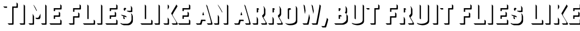 Gineso Titling Shadow Bold