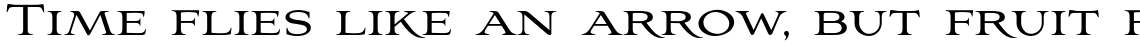 Aviano Family (2 Typefaces)