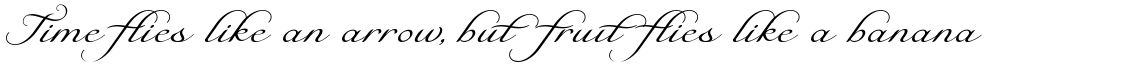 Natalya Family (3 typefaces)