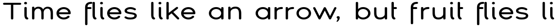 Montag Family (6 typefaces)