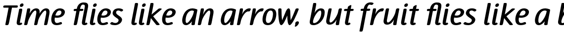 Terfens Bold Italic