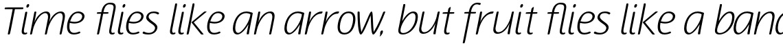 Terfens Light Italic