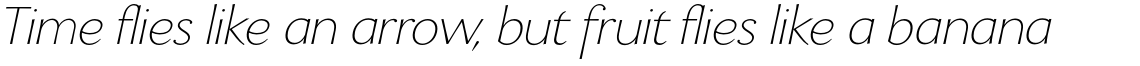 Enzia Thin Italic