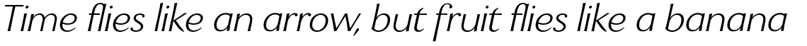 Enzia Light Italic
