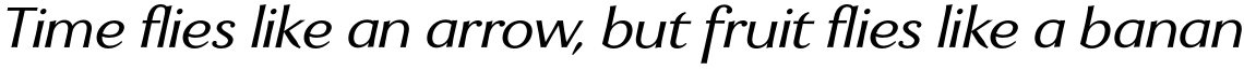 Enzia Italic