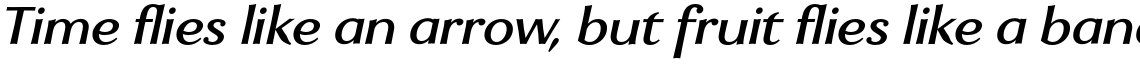 Enzia Medium Italic