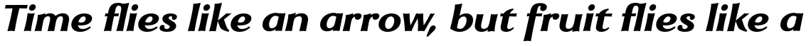 Enzia Black Italic