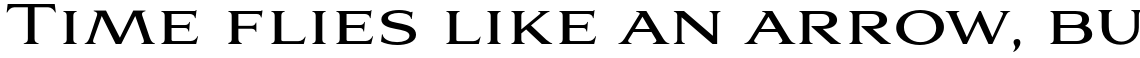 Aviano Serif Family (4 typefaces)