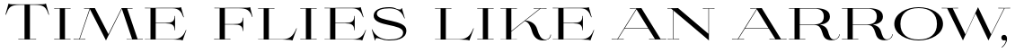 Aviano Didone Regular