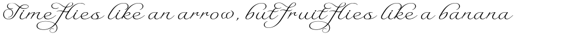 Serofina Family (4 Typefaces)