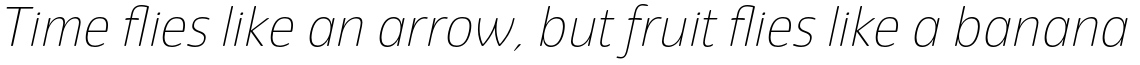 Eigerdals Thin Italic