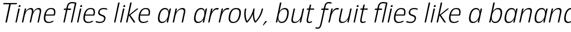 Eigerdals Light Italic