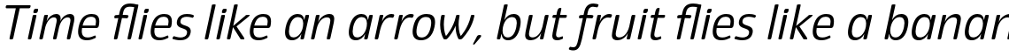 Eigerdals Regular Italic