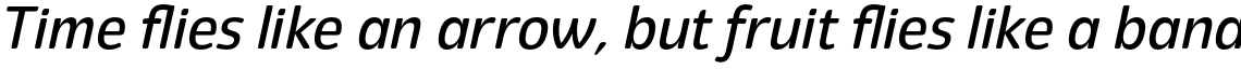 Eigerdals Medium Italic