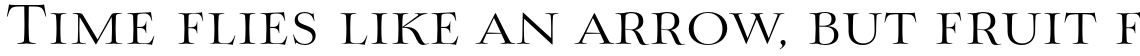 Mynaruse Family (6 Typefaces)