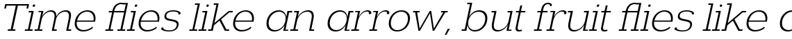 Donnerstag Light Italic