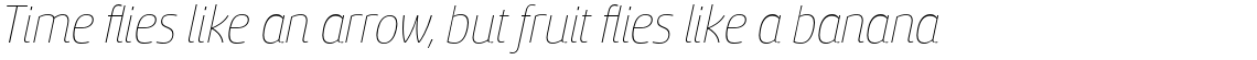 Sancoale Thin Italic